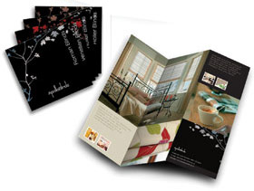 Brand Identity: Apollo